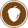 Frutta a guscio